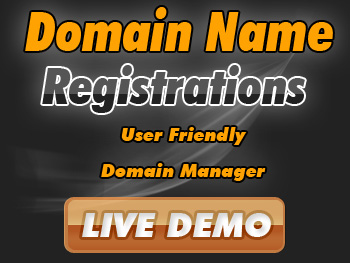 Low-cost domain name registration service providers